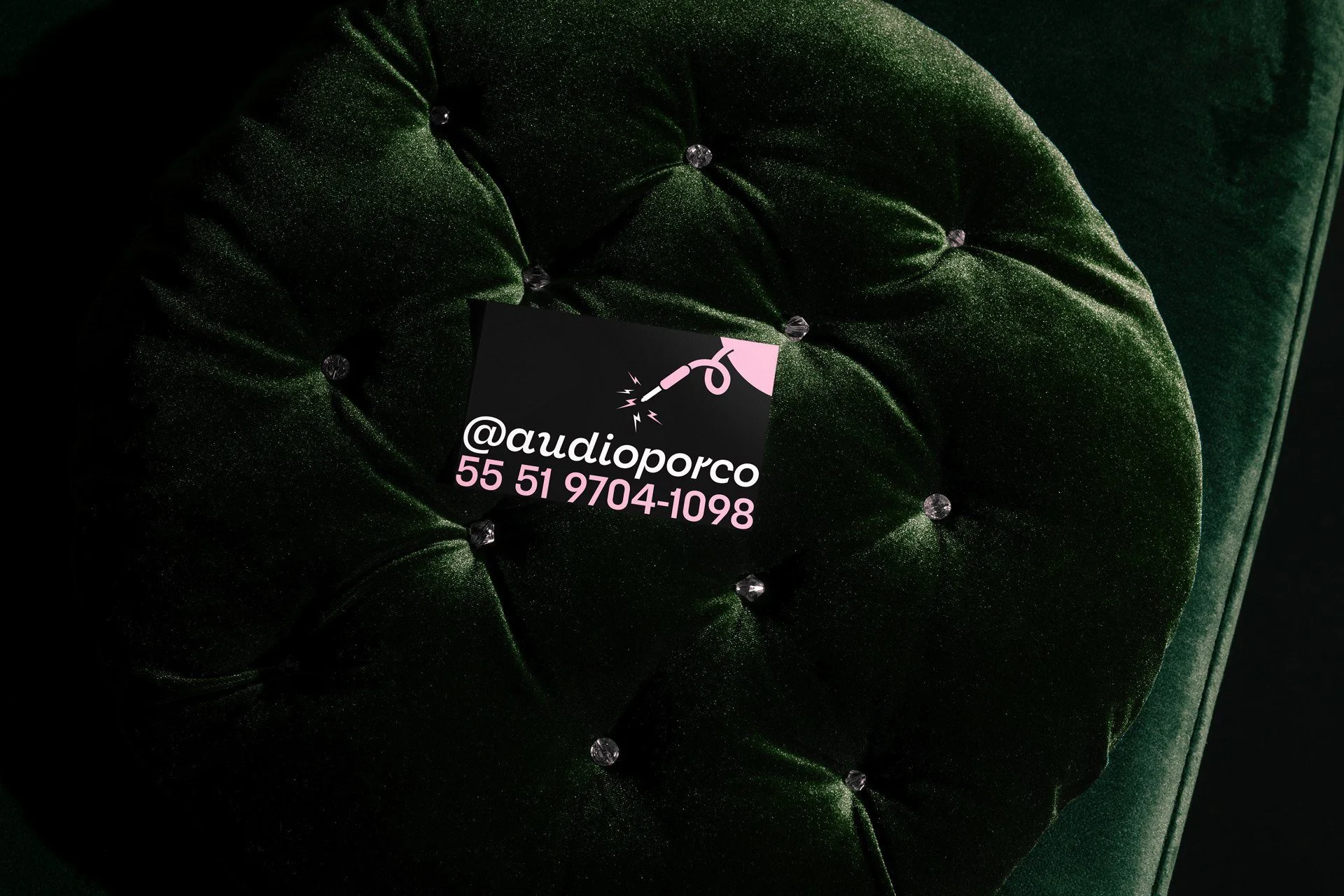 Áudio Porco sticker on green velvet
